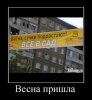 весна.jpg
