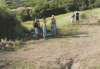 вело.gif