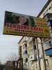 Сосну.jpg