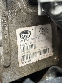 IMG_0601.jpeg
