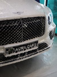 Bentley7.jpg Bentley7.jpg