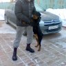 Александр Зуев
